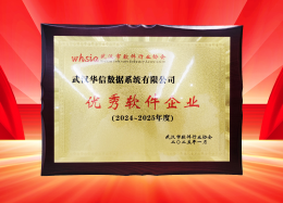 喜讯丨DB真人旗舰 DB数据获评2024~2025年度武汉市软件行业&ldquo;优秀企业&rdquo;、&ldquo;优秀工作者&rdquo;荣誉称号！